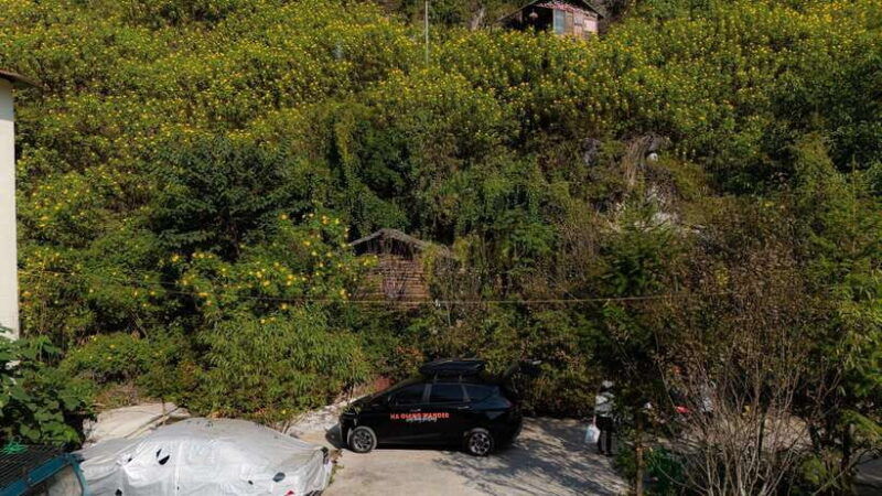 family-trip-4-days-3-nights-ha-giang-loop-private-car-tour