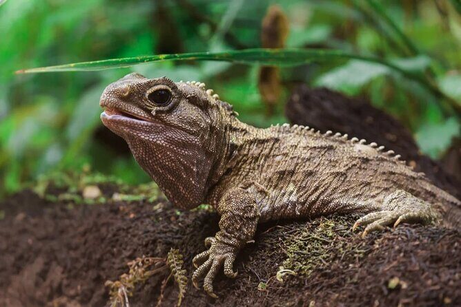 Family trip to staglands wildlife sanctuary - Key Points