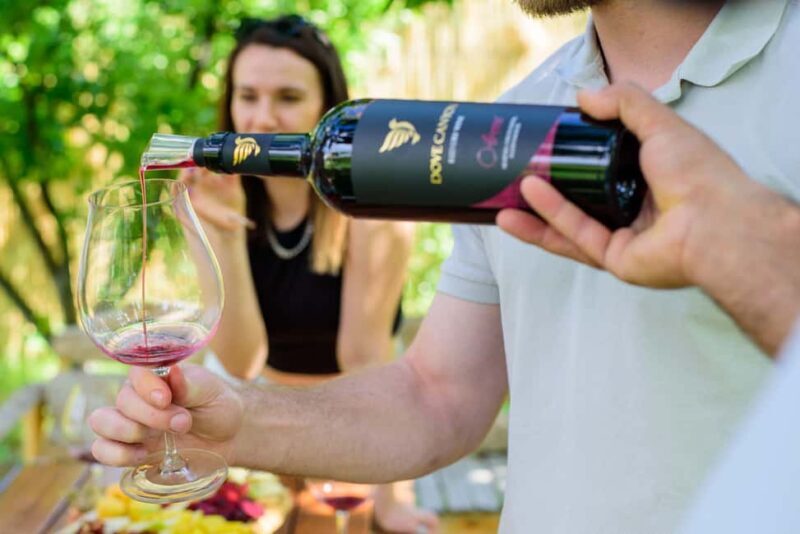 Family Village Winery Tour & Tasting in Aghavnadzor - The Sum Up