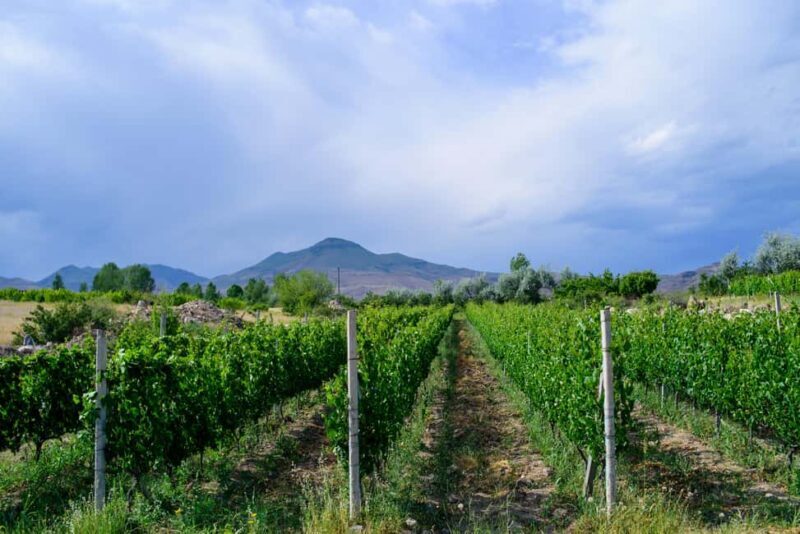 Family Village Winery Tour & Tasting in Aghavnadzor - FAQ