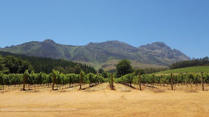 Family Winelands & Wildlife: Stellenbosch and Paarl - Practical Details & Considerations