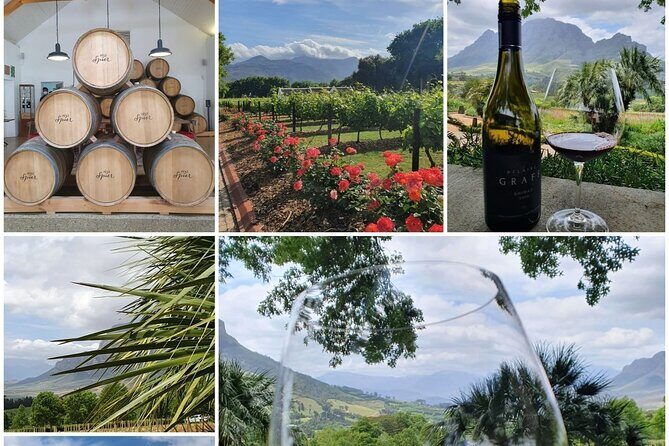 Family Winelands & Wildlife: Stellenbosch and Paarl - FAQ