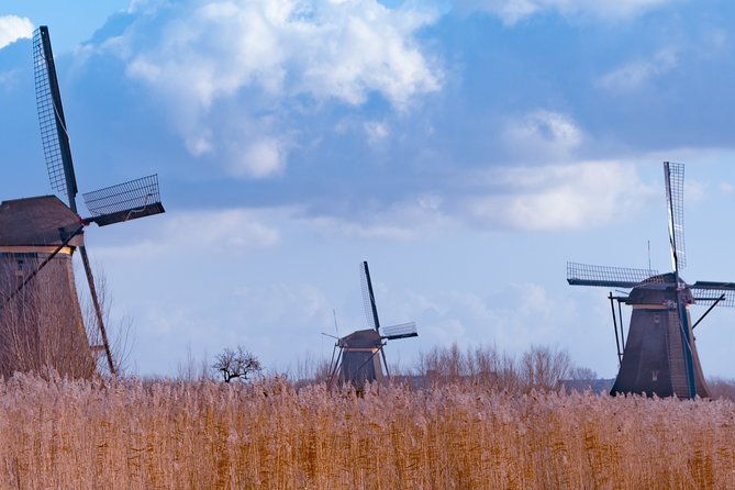 famous-holland-tour-visit-the-hague-delft-rotterdam-and-kinderdijk-from-adam