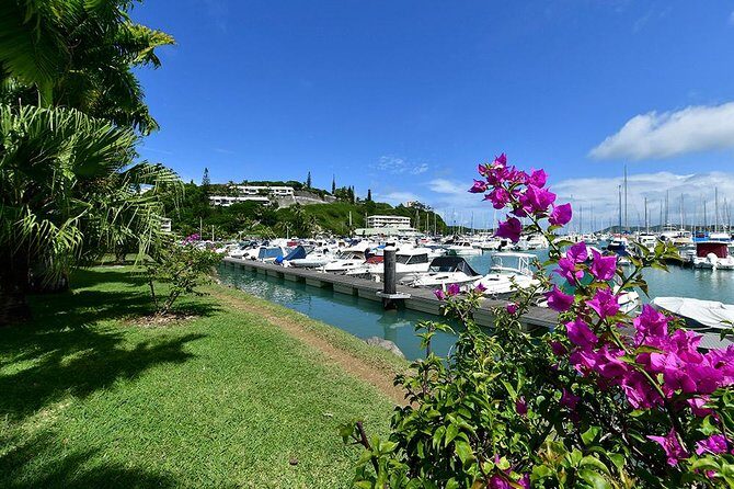 FAMOUS Local Green Train Noumea (01h30) - An In-Depth Look at the Green Train Experience  