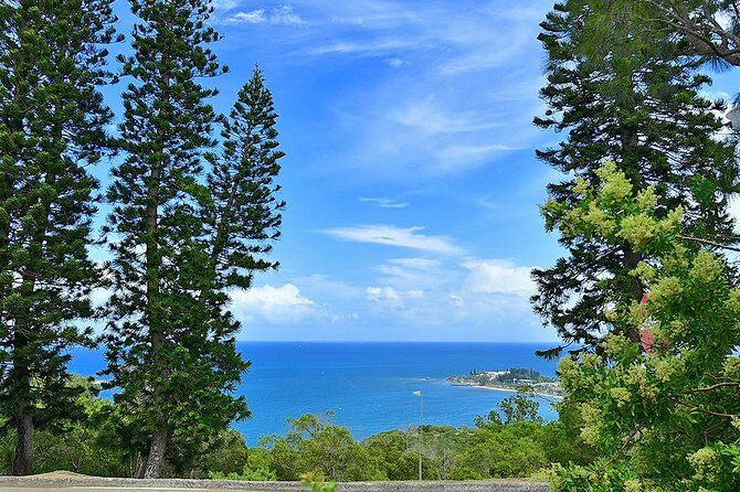 FAMOUS Local Green Train Noumea (01h30) - FAQ  