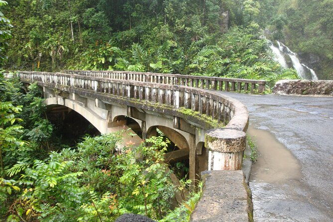 famous-road-to-hana-waterfalls-black-sand-beach-lunch