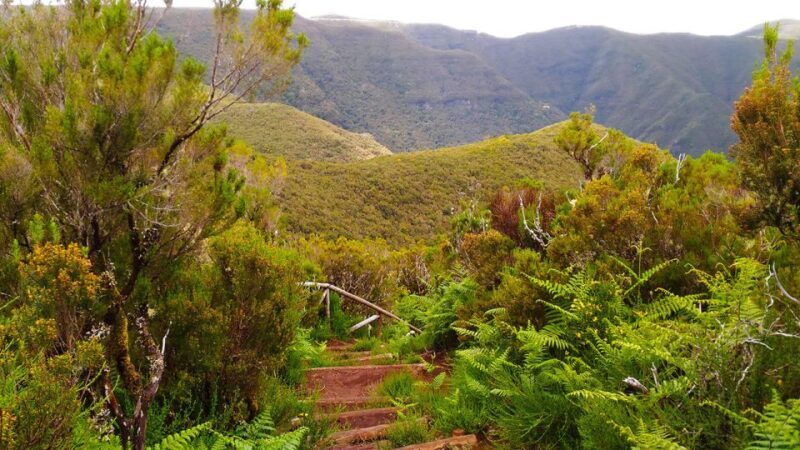 Fanal / Assobiadores - Levada Walk - FAQ