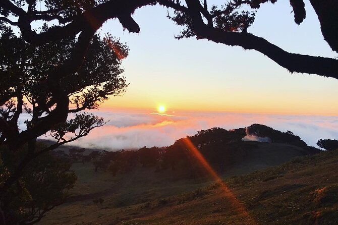 fanal-forest-private-sunset-hike