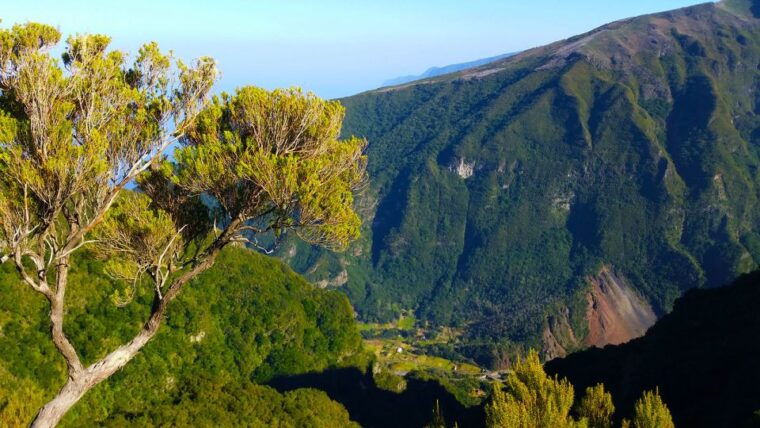 fanal-whistles-levada-walk