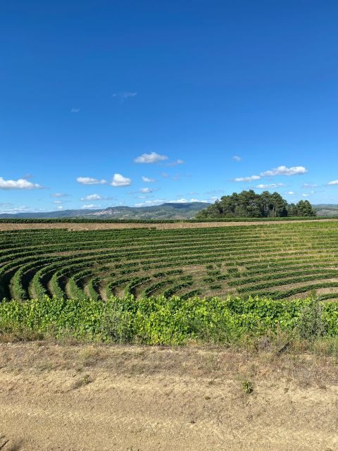 Fancy Douro from Porto - private walk + lunch + wines - A Detailed Look at the Tour Experience