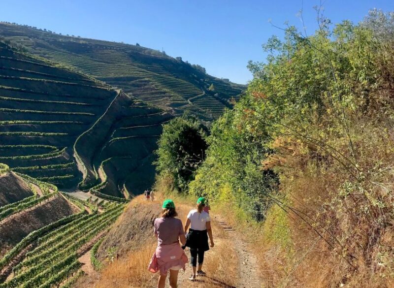 Fancy Douro from Porto - private walk + lunch + wines - Final Thoughts