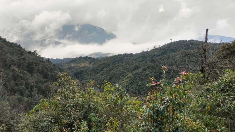 fansipan-mountain-1-day-trekking-tour