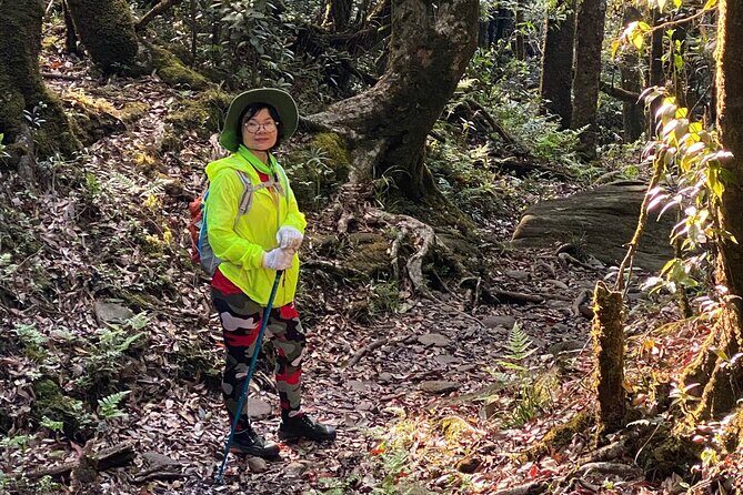 Fansipan Summit Challenge - Pricing and Value