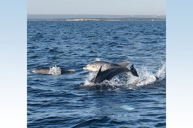 fantastic-dolphin-sunset-tour-with-dinner-pula-np-brijuni