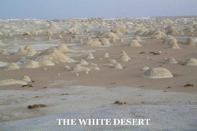 Fantastic Overnight White Desert and Baharya oasis - Value and Price Analysis