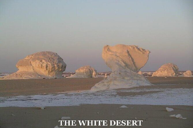 Fantastic Overnight White Desert and Baharya oasis - Who Is This Tour Best For?