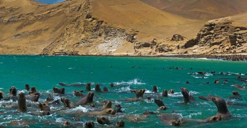 fantastic-peru-lima-ica-cusco-sacred-valley-7-days