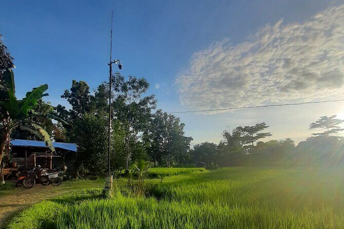 Farm Day Tour with Dining Experience - Exploring the Farm: What to Expect