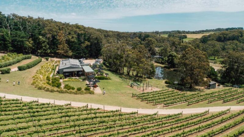 Farm Picnic for 2 adults - A Closer Look at the Farm Picnic for Two on Victoria’s Mornington Peninsula