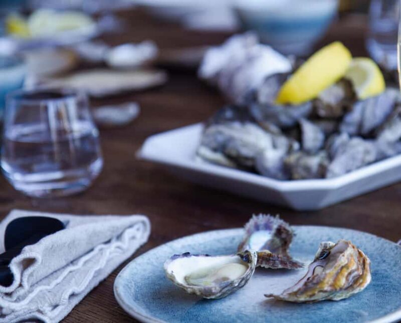 Farm to Plate - Sydney's Oyster Heartland - The Scenic Cruise and Oyster Farming at Hawkesbury River