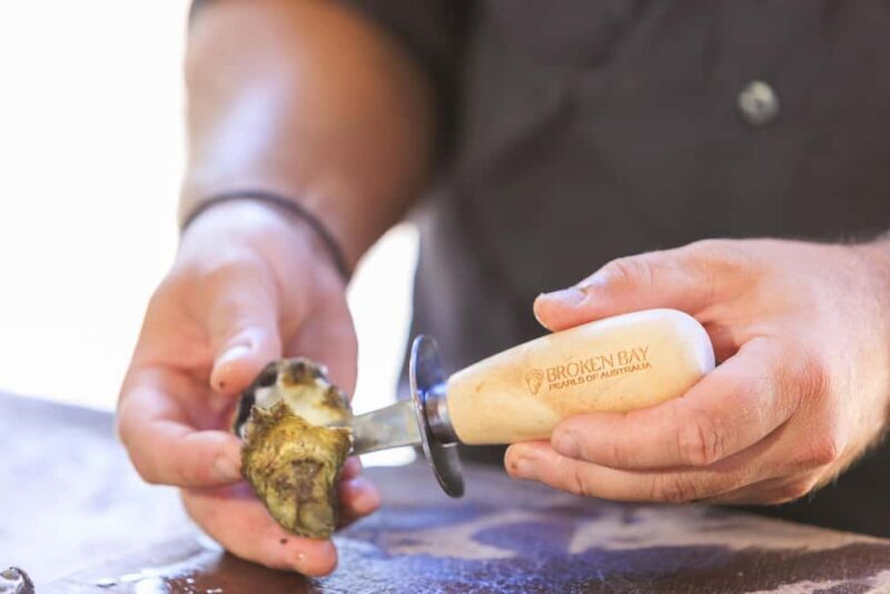 Farm to Plate - Sydney's Oyster Heartland - Practical Aspects and What to Bring