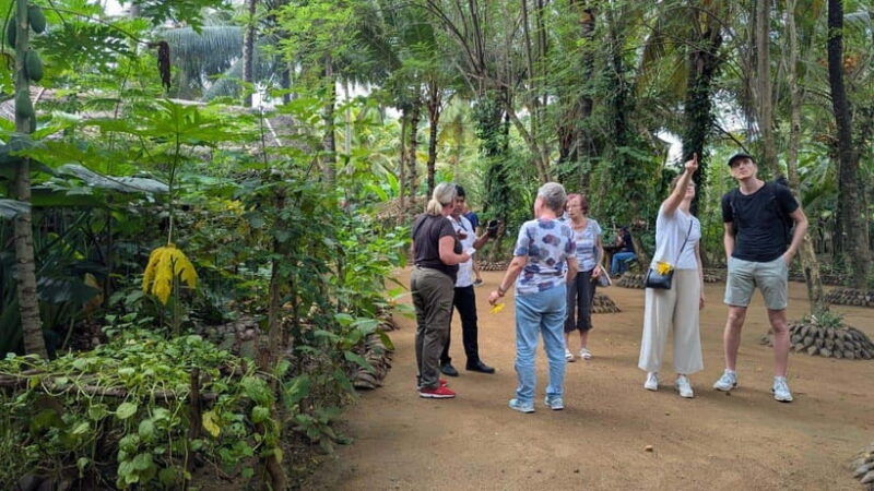 farm-to-table-cooking-class-authentic-village-experience