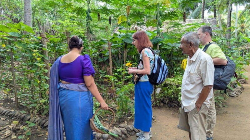 farm-to-table-cooking-class-authentic-village-experience