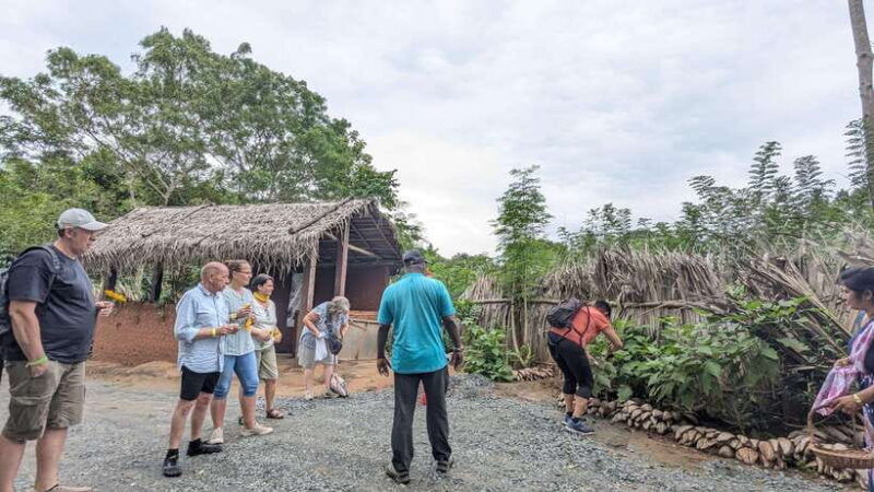 farm-to-table-cooking-class-authentic-village-experience