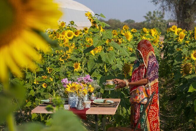 Farm to Table Experience in Jodhpur - Farm to Table Experience in Jodhpur: A Natural Feast for the Senses