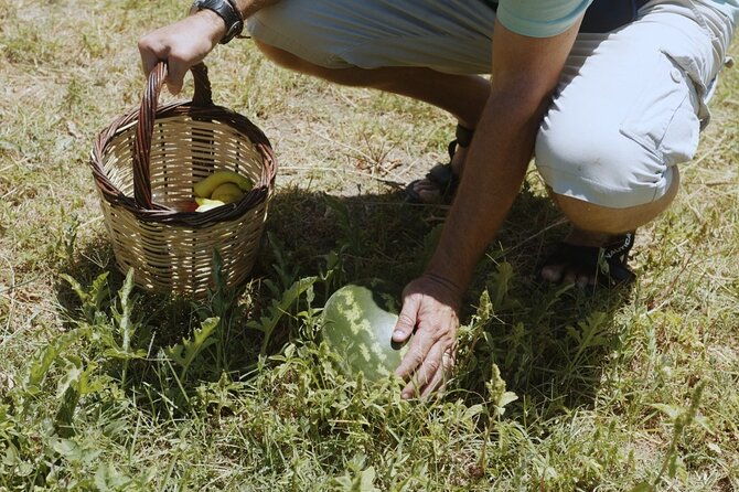 farm-to-table-local-cooking-experience