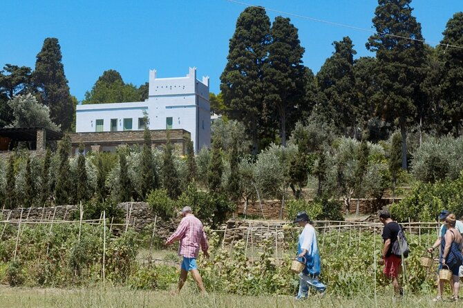 farm-to-table-local-cooking-experience
