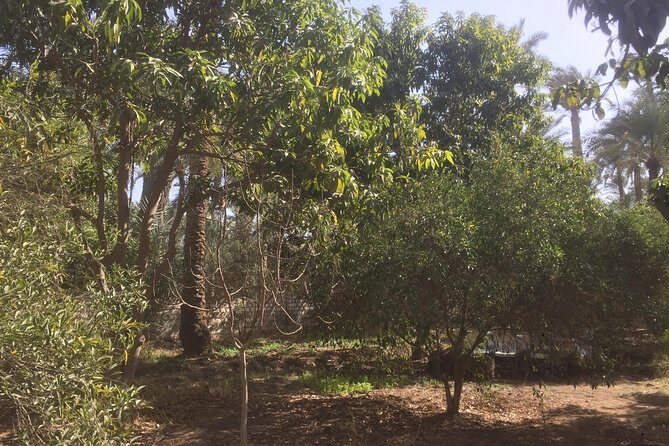 Farm-To-Table Tour With An Adventure To Bent & Red Pyramids - Scenic Stop at Dahshour Lake