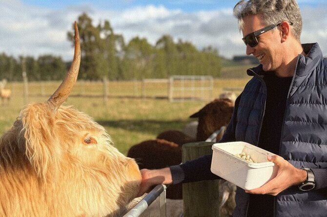 Farm Tour and Milford Sound Nature Cruise from Te Anau - Key Points