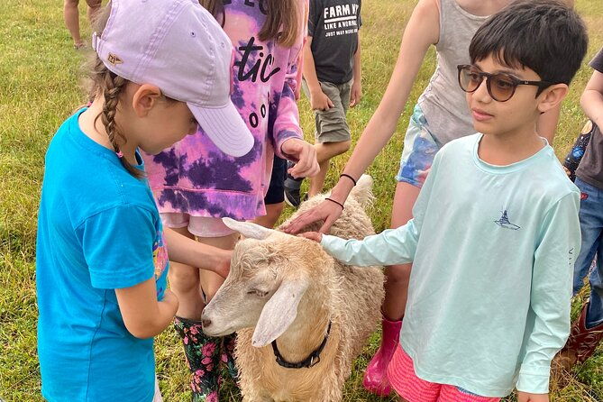 farm-tour-at-clover-brooke-llama-alpaca-goat-farm