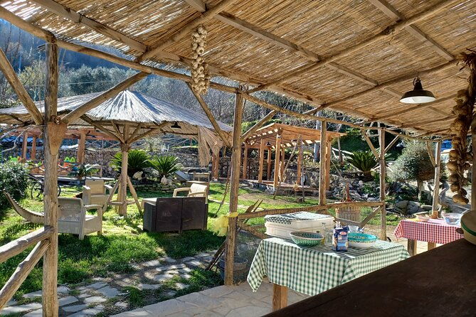 farm-tour-with-cheese-pizza-experience-wine-limoncello-test