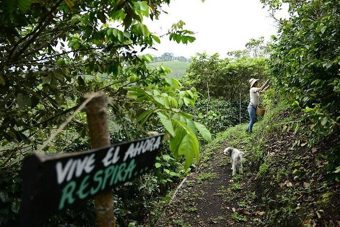 farmers-experience-in-san-agustin