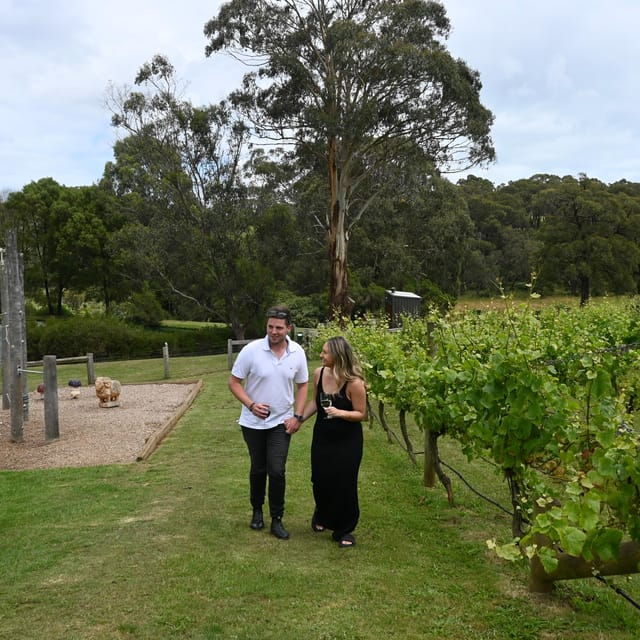 farmers-lunch-food-and-wine-for-2