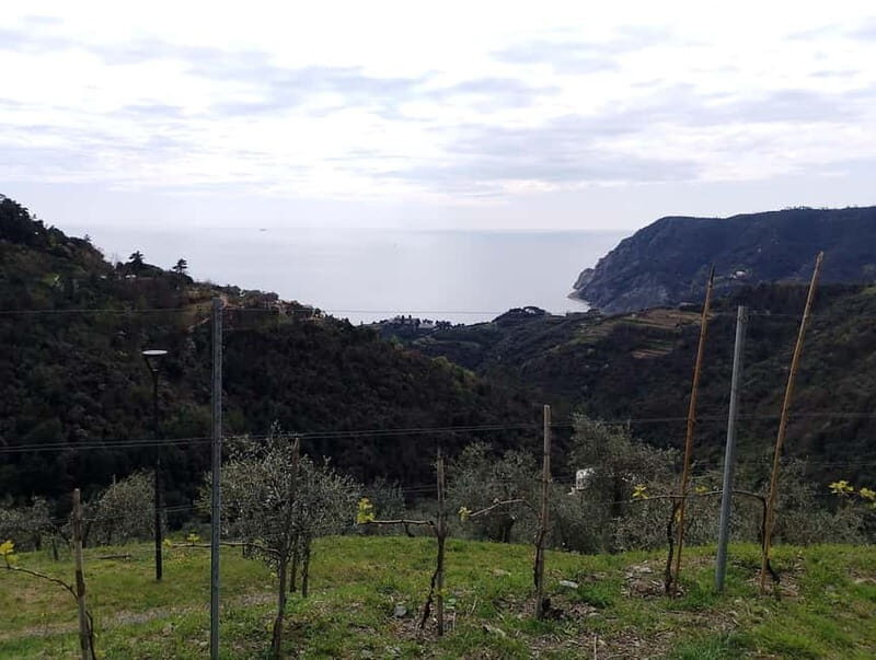 Farmhouse aperitif + electric bike tour in Monterosso al Mare - Pricing and Value