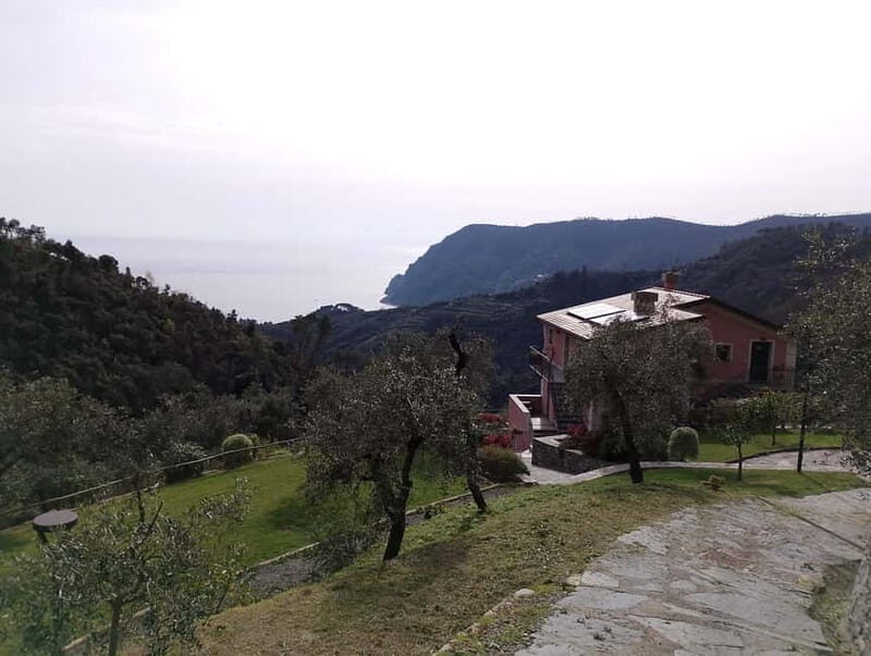 Farmhouse aperitif + electric bike tour in Monterosso al Mare - Who Is This Tour Best For?