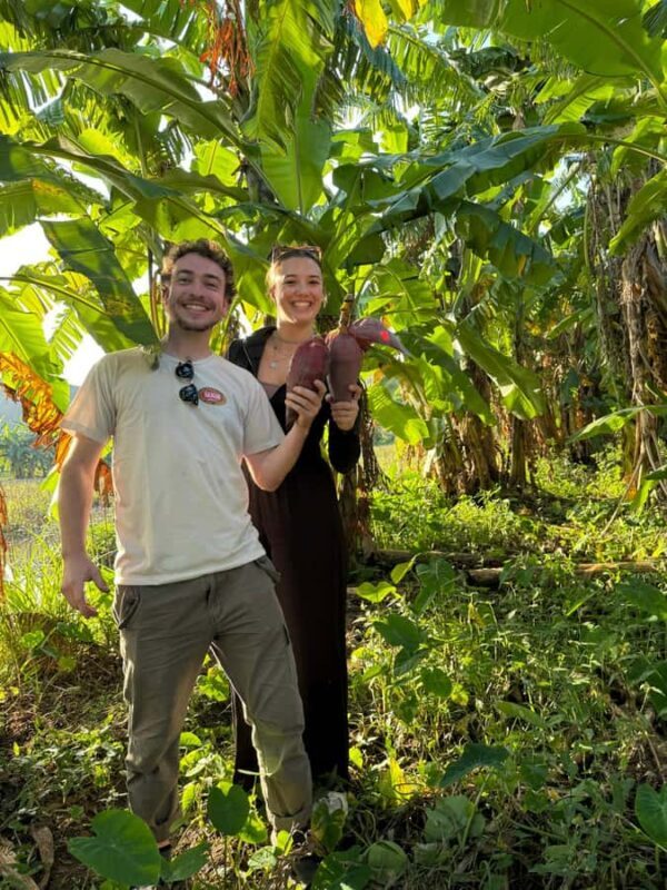 Farming and Cooking Experience at a Local Ninh Binh Farm - Key Points