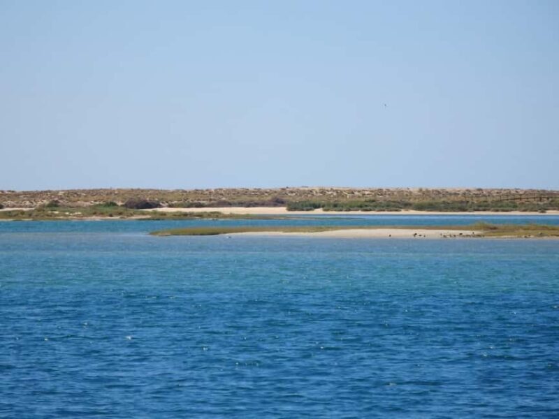 Faro: Boat Tour to Desert Island - Key Points