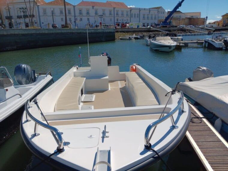 faro-dolphin-and-marine-life-watching-boat-tour