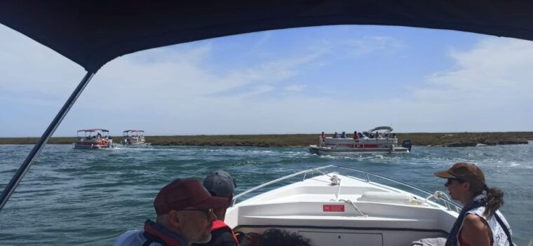 faro-dolphin-and-marine-life-watching-boat-tour