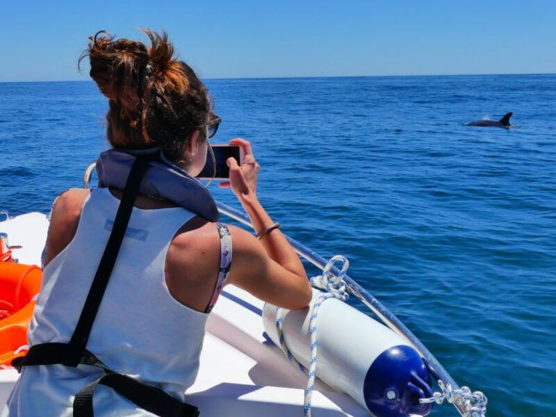 faro-dolphin-and-wildlife-watching-in-the-atlantic-ocean