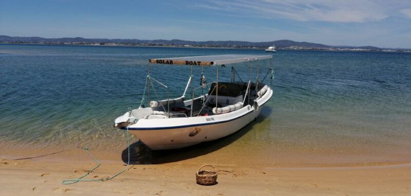 faro-eco-friendly-ria-formosa-bird-watching-in-solar-boat