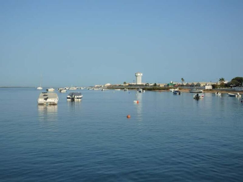 Faro: Full Day Private Charter at The Ria Formosa - The Sum Up