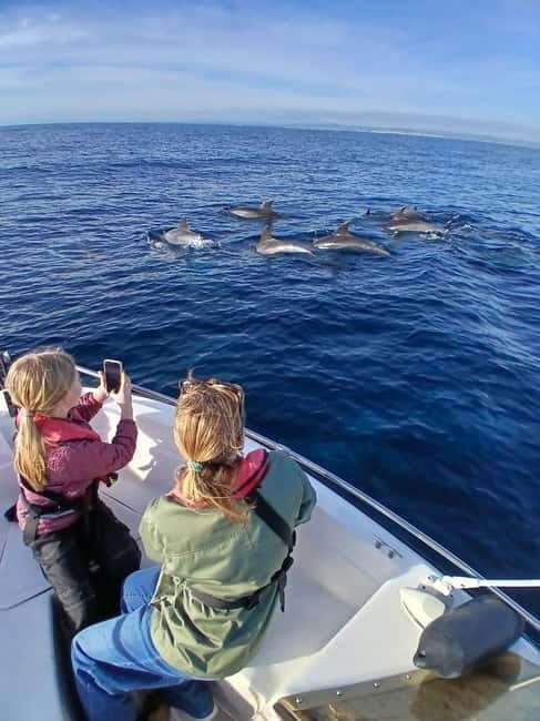 Faro: Funtastic Dolphin Watching Boat Tour - The Experience: What to Expect on the Water