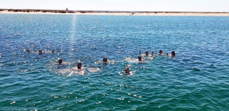 Faro: Half Day Private Tour in Ria Formosa Natural Park - Authentic Insights from Reviews