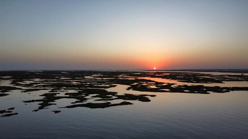 Faro: Half Day Private Tour in Ria Formosa Natural Park - Who Should Consider This Tour?
