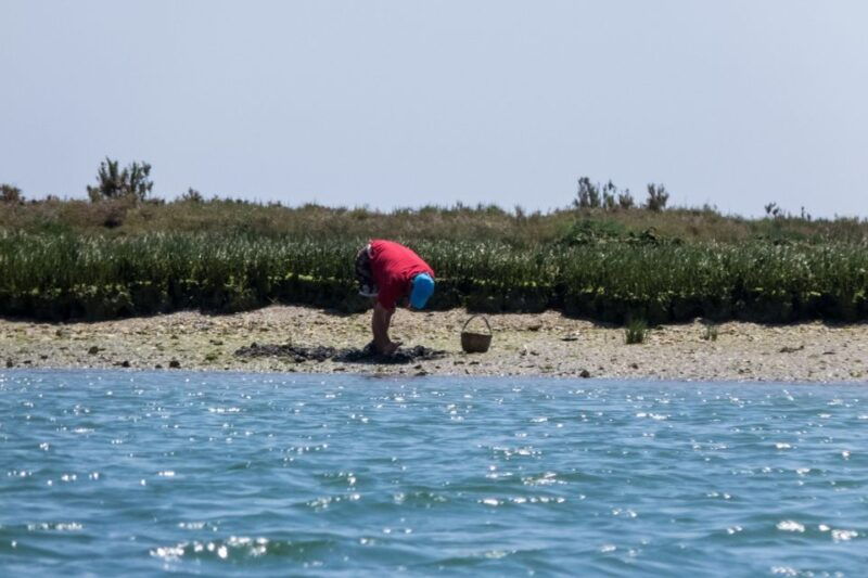 faro-kayak-hire-in-ria-formosa-natural-park
